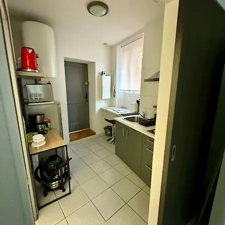 Le Cactus, Proche De La Gare Apartment Toulouse