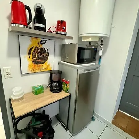 Le Cactus, Proche De La Gare Apartment