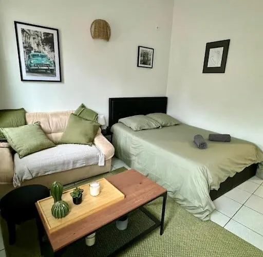 Le Cactus, Proche De La Gare Τουλούζη