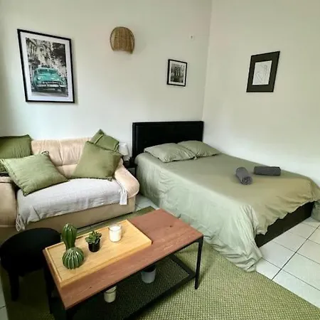 Le Cactus, Proche De La Gare Toulouse