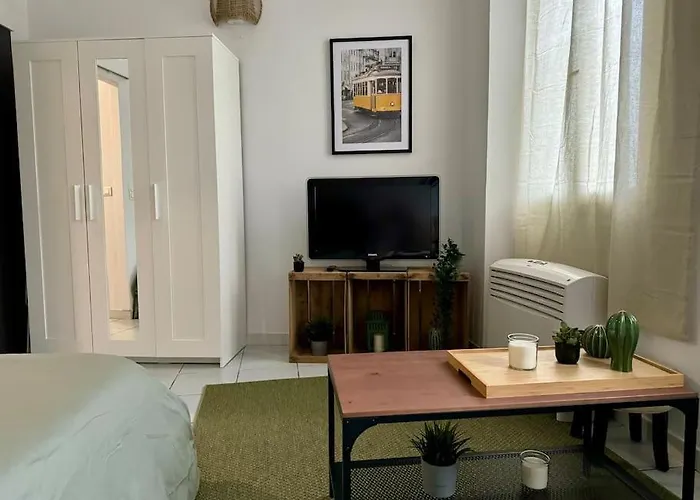 Le Cactus, Proche De La Gare Apartmán Toulouse