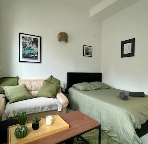 Le Cactus, Proche De La Gare * 툴루즈